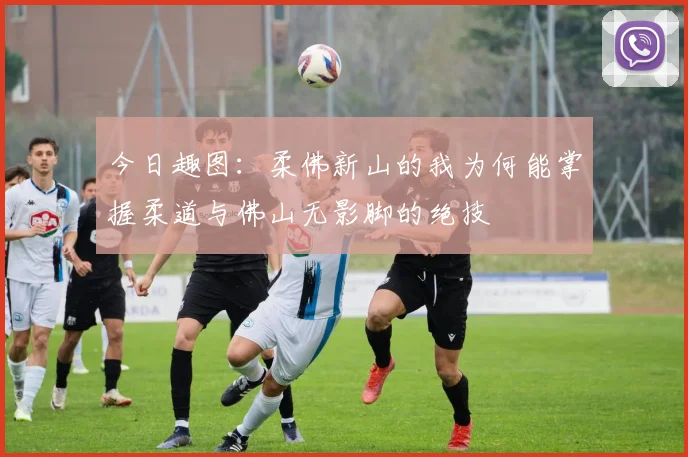 今日趣图：柔佛新山的我为何能掌握柔道与佛山无影脚的绝技